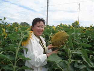 06年阿勒泰地區(qū)土肥站的專(zhuān)家在察看油葵示范地.jpg